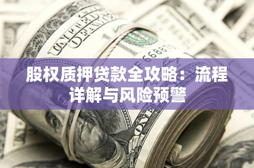 北京股权质押贷款全攻略：流程详解与风险预警