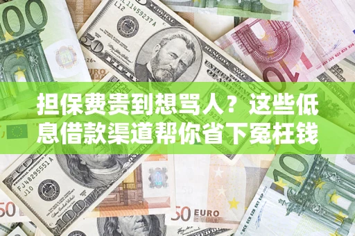 北京担保费贵到想骂人？这些低息借款渠道帮你省下冤枉钱