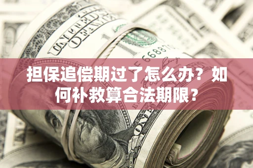 北京担保追偿期过了怎么办？如何补救算合法期限？