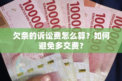 北京欠条的诉讼费怎么算？如何避免多交费？