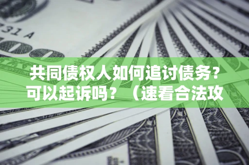 北京共同债权人如何追讨债务？可以起诉吗？（速看合法攻略）