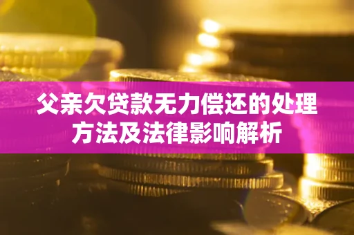 北京父亲欠贷款无力偿还的处理方法及法律影响解析